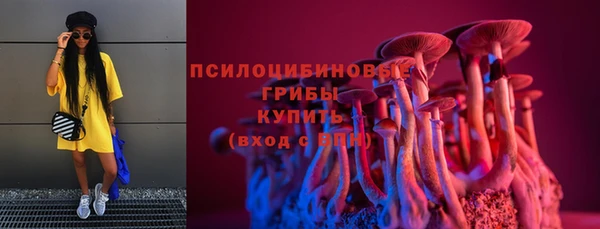 хмурый Балахна