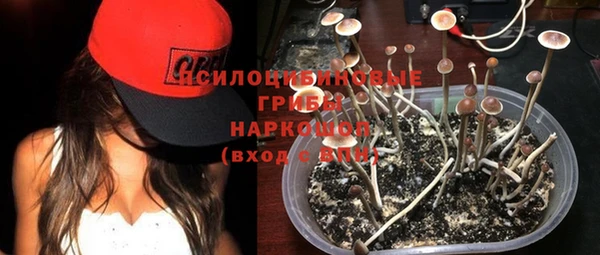 хмурый Балахна