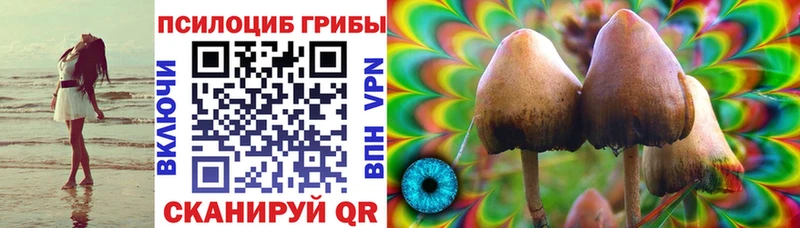 Галлюциногенные грибы Psilocybe  Кондрово 